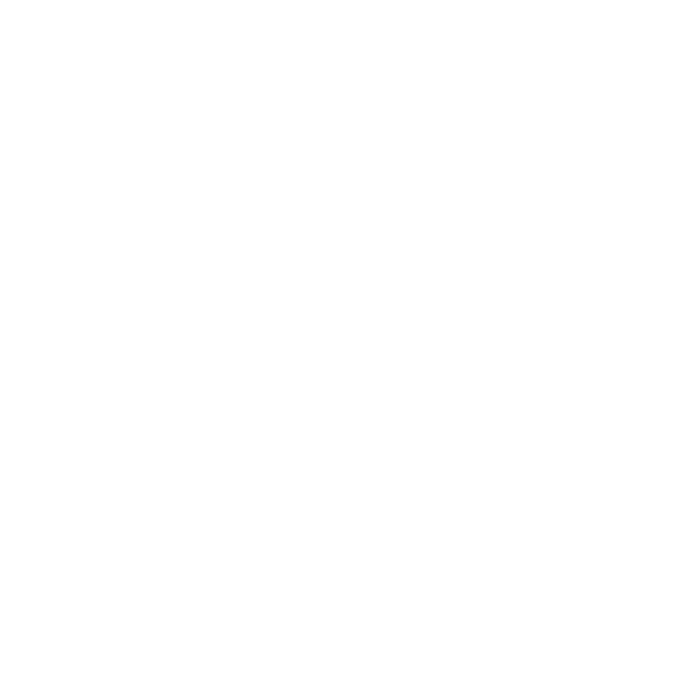Finsolutia