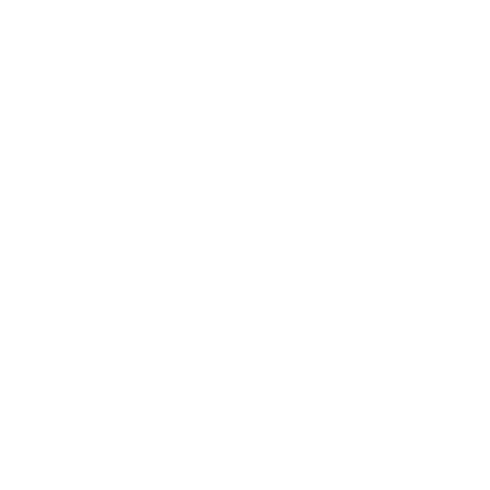Força Aérea Portuguesa